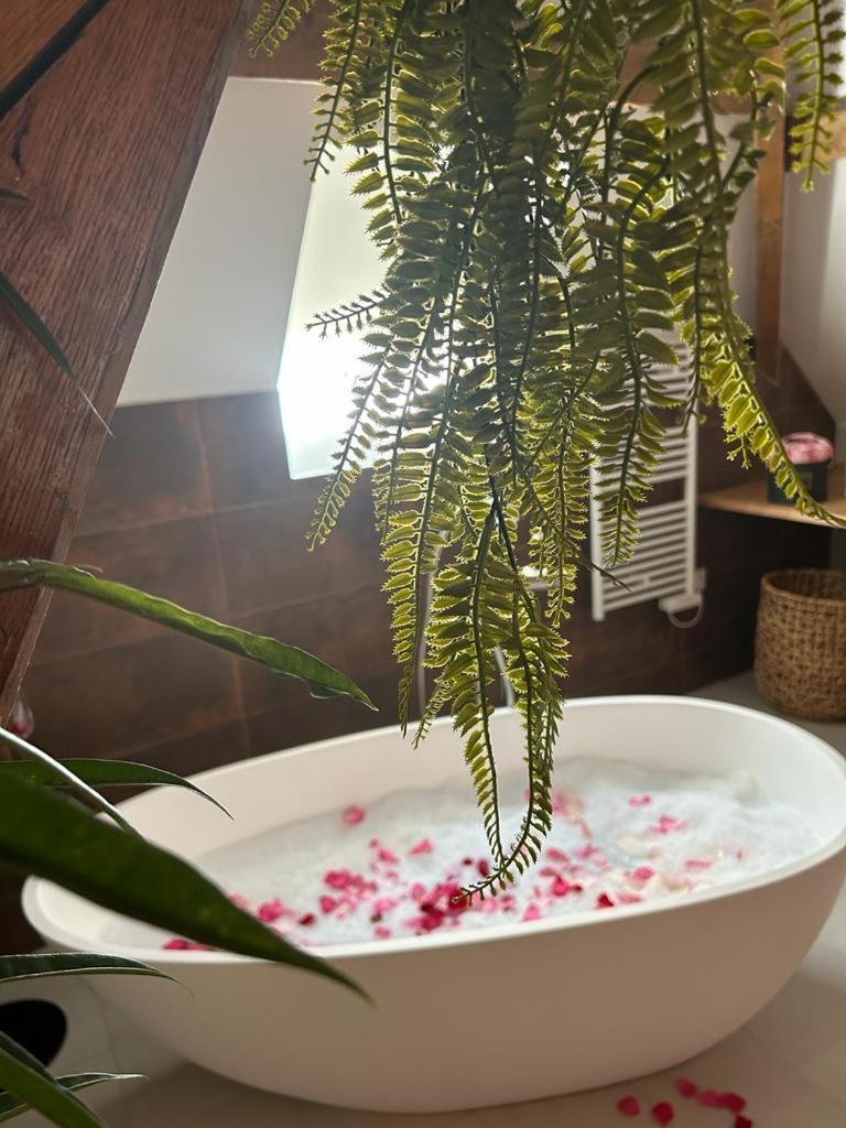 Le Laurencin Sens - Le Duplex - Coeur De Ville Ngoại thất bức ảnh